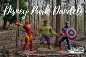 Disney Park Dandeli (Dandakaranya Eco Park)