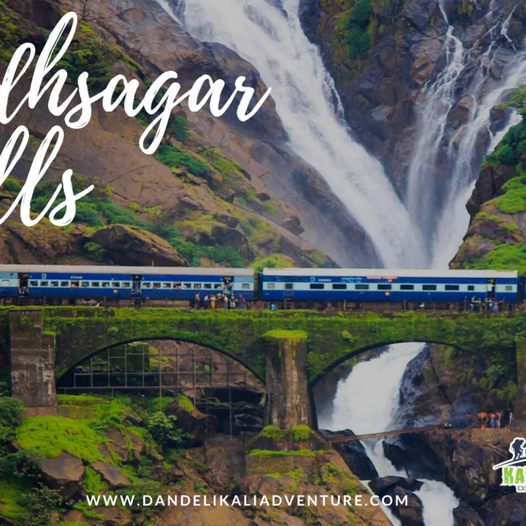 Dudhsagar-falls-dandeli