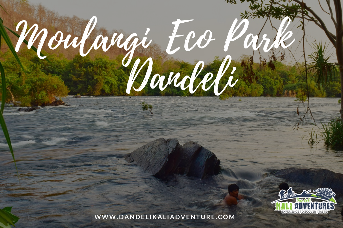 Moulangi eco park Dandeli