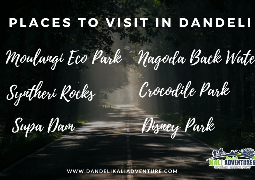 Places to visit in Dandeli