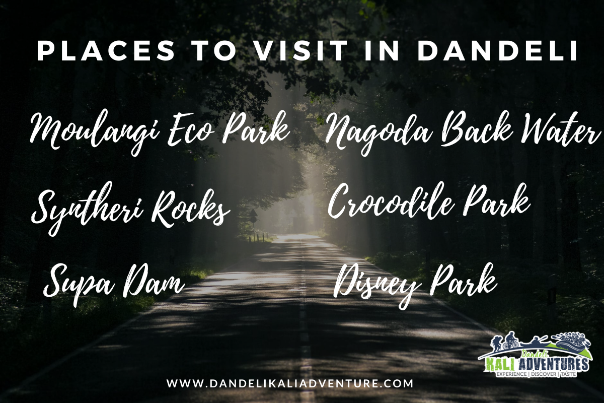 Places to Visit in Dandeli, Karnataka – Dandeli Kali Adventure