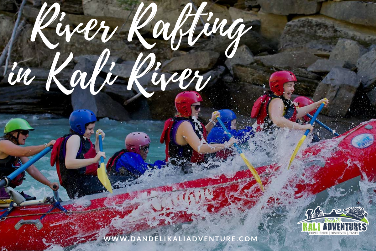 River rafting in kali river