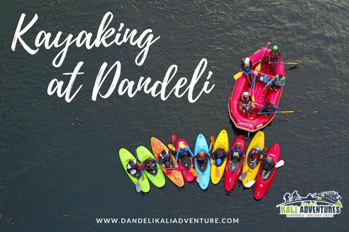 kayaking-at-dandeli